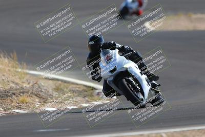 media/Nov-03-2023-2WTD (Fri) [[efa4da844c]]/B Group/1220pm (Turn 4a)/